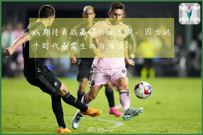 我期待肖战赢得白玉兰奖，因为这个时代亟需生机与活力！
