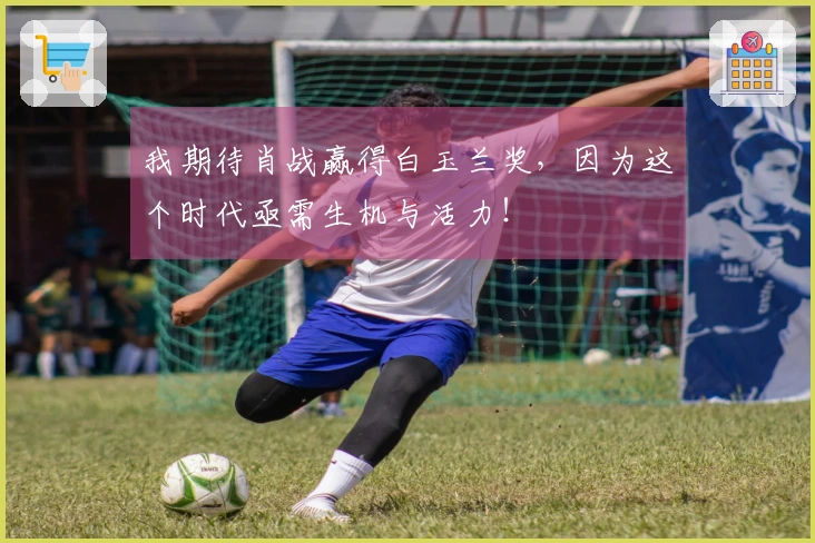 我期待肖战赢得白玉兰奖，因为这个时代亟需生机与活力！